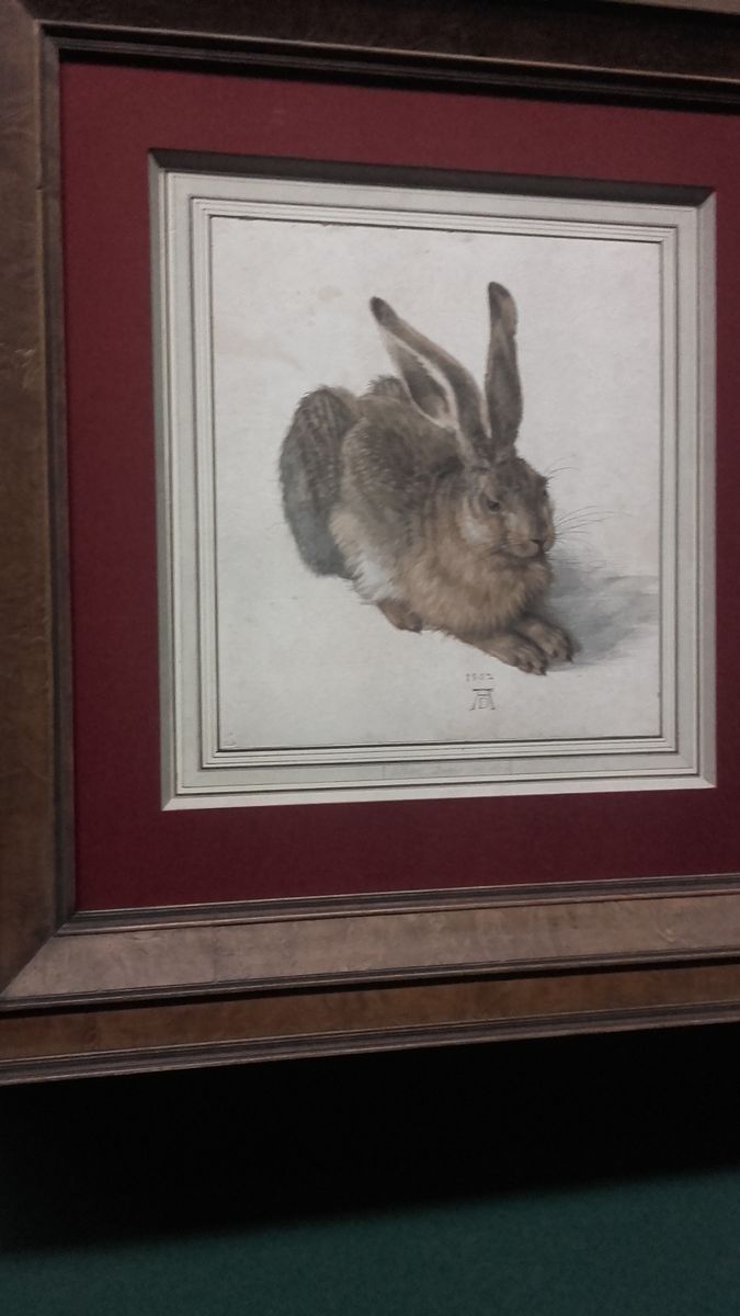 Albrecht Dürer kiállítás az Albertinában
