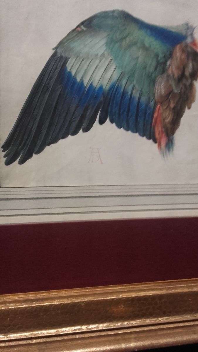 Albrecht Dürer kiállítás az Albertinában