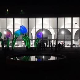 2024-es Life Challenge győztes Vásárcsarnok