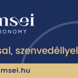 Semsei